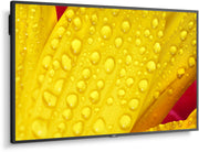 NEC MultiSync® M501-2 LCD 50" 4K Message Large Format Display | 60006084 Digital Signage Display NEC