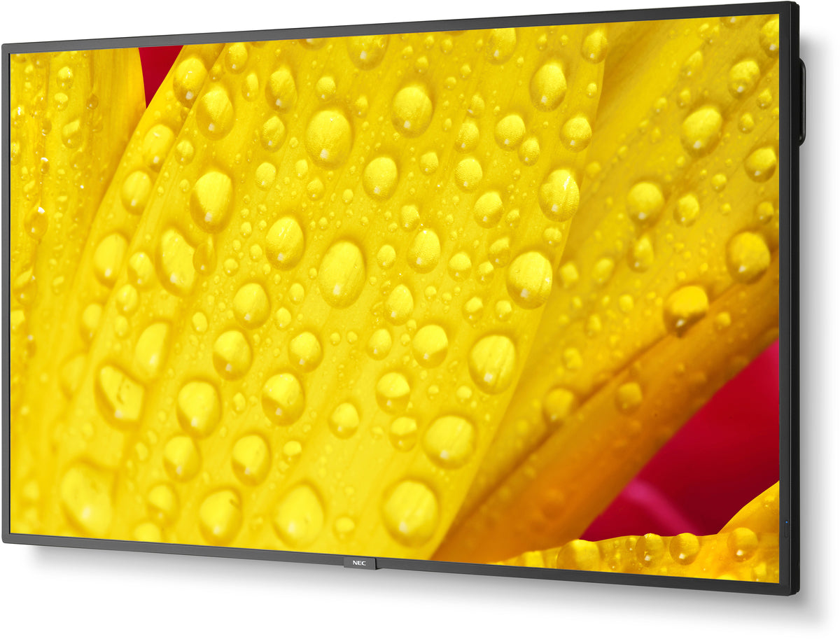 NEC MultiSync® M551-2 LCD 55" 4K Message Large Format Display | 60006085 Digital Signage Display NEC