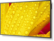 NEC MultiSync® M551-2 LCD 55" 4K Message Large Format Display | 60006085 Digital Signage Display NEC