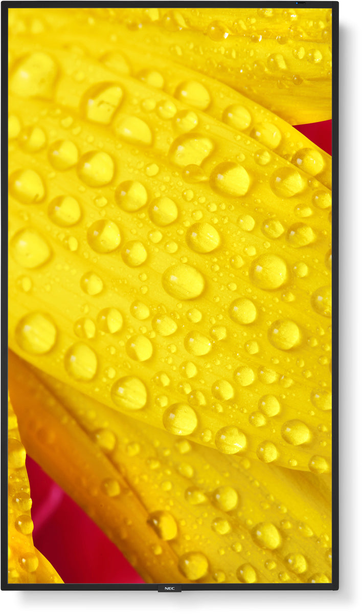 NEC MultiSync® M551-2 LCD 55" 4K Message Large Format Display | 60006085 Digital Signage Display NEC
