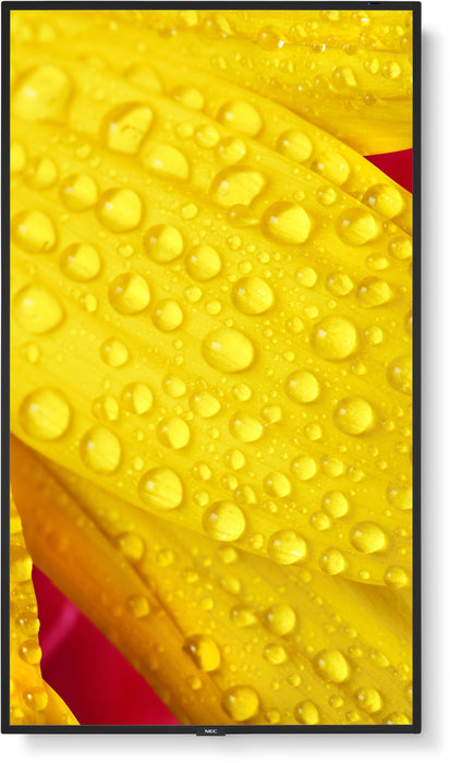 NEC MultiSync® M551-2 LCD 55" 4K Message Large Format Display | 60006085