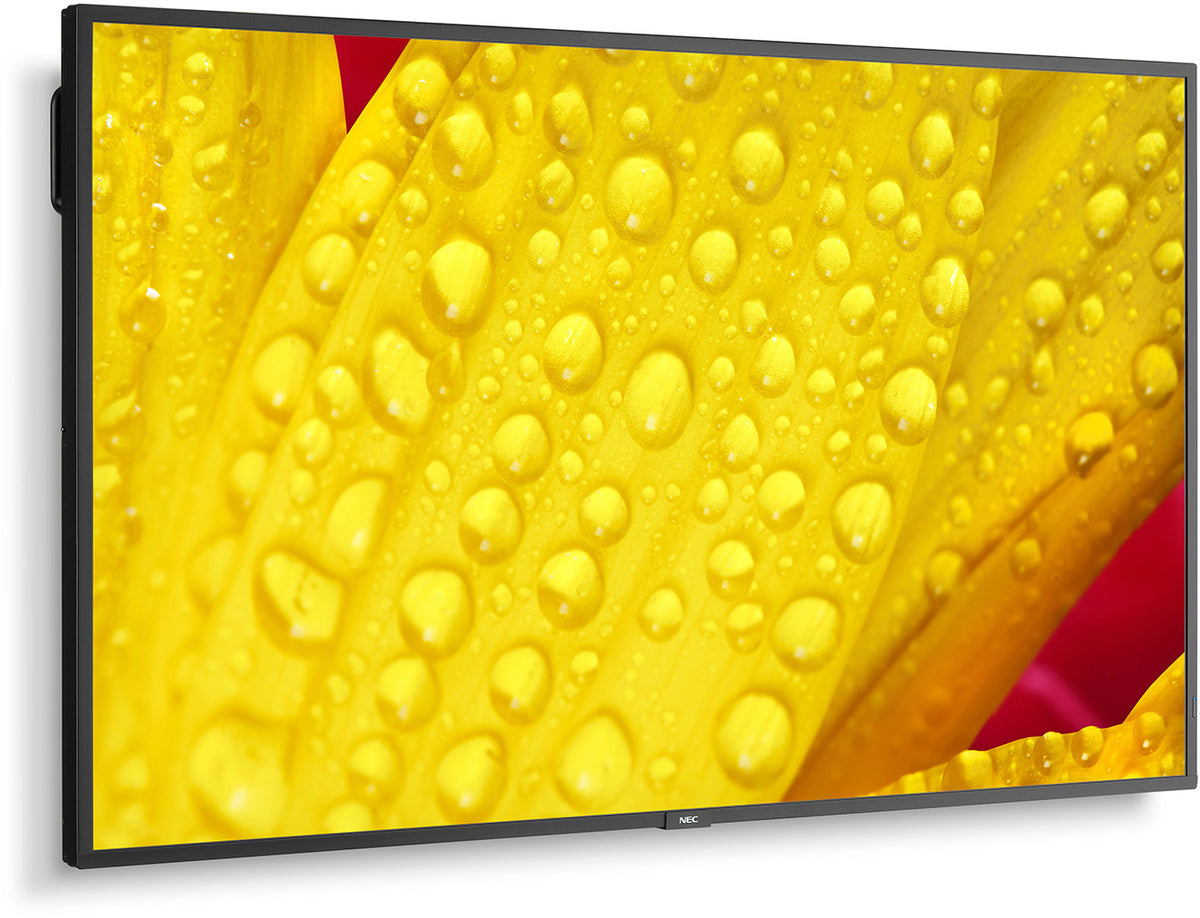 NEC MultiSync® M651-2 LCD 65" Message Essential 4K UHD Large Format Display | 60006086 Digital Signage Display NEC