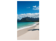 Sharp MultiSync® UN553S LCD 55" Full HD Video Wall Display LCD Video Wall Display NEC