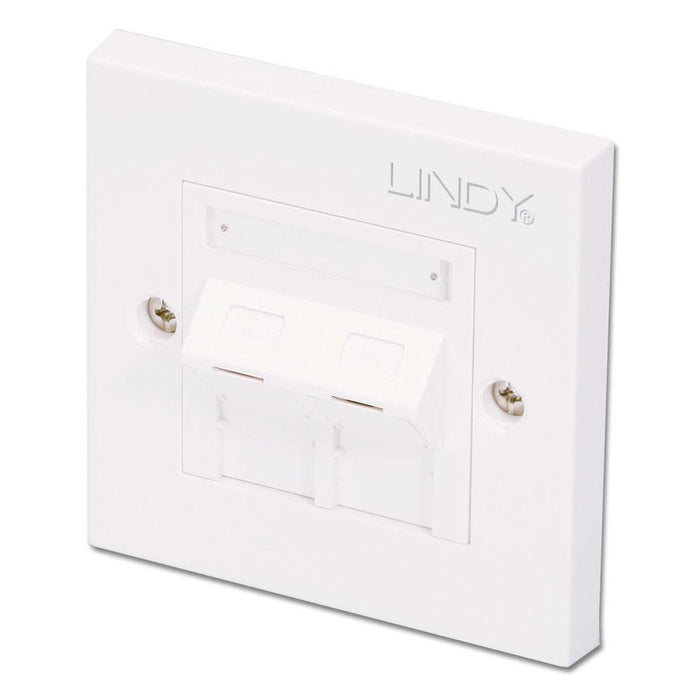 Lindy CAT5e Single Wall Plate with 2 x Angled RJ-45 Shuttered Socket | 60569 Mounting Kit Lindy
