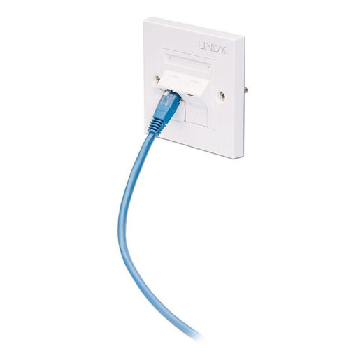 Lindy CAT5e Single Wall Plate with 2 x Angled RJ-45 Shuttered Socket | 60569 Mounting Kit Lindy