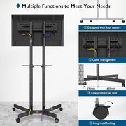 Moove 32" - 85" Double Pole Portable Display Trolley on Wheels Mobile Trolley Moove AVMounts