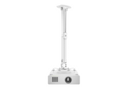 Multibrackets M Universal Projector Ceiling Mount I | 7350022730311 Projector Mount Multibrackets