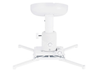 Multibrackets M Universal Projector Ceiling mount 600-1000mm with Fine tune | 7350073730735