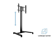 Multibrackets M 180 HD Single Black Mobile Floor Stand for 55"-80" Screens | 7350073735310 Floor Stand Multibrackets