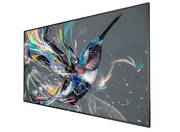 Philips Q-Line | 75BDL3511Q/00 75" 4K Ultra HD Smart Digital Signage Display Digital Signage Display Philips