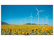 Hisense 75DP30FE 75" 4K Ultra HD Smart Digital Signage Display Digital Signage Display Hikvision