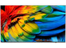 Philips MediaSuite | 75HFL6214U 75" 4K Android 9 Smart Commercial Professional TV
