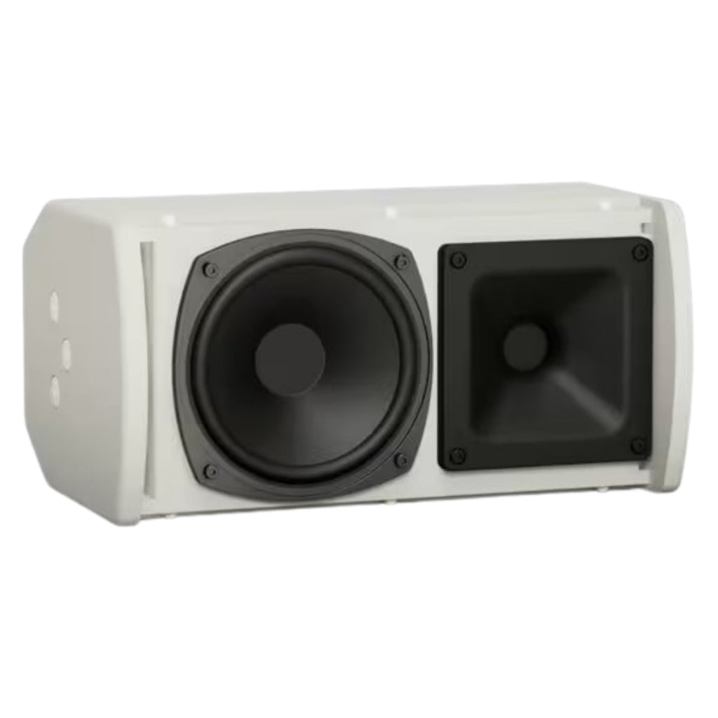 Bose ArenaMatch AMU105 Compact High-Performance Loudspeaker Speaker BOSE