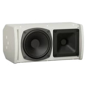 Bose ArenaMatch AMU105 Compact High-Performance Loudspeaker Speaker BOSE