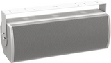 Bose ArenaMatch Utility AMU208 Outdoor Loudspeaker | 811436-0210