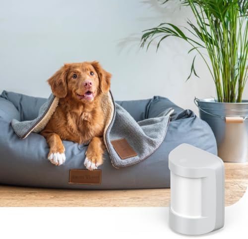 Hive Pet Friendly Motion Sensor - 851880