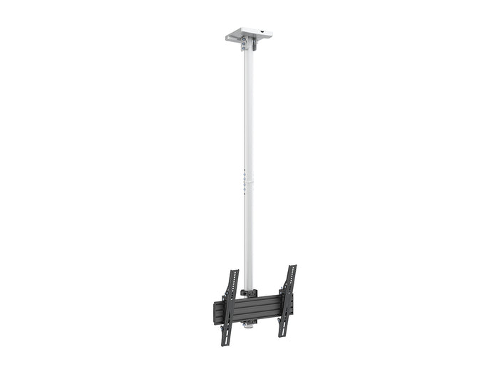Multibrackets MBC1U Display Ceiling Mount Pro Ceiling Mount Bracket Multibrackets
