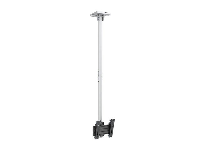 Multibrackets 24” - 42" - 1.5m Pole MBC1U Display Ceiling Mount Ceiling Mount Bracket Multibrackets