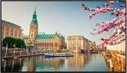 Vestel PN43B-4H - 43" UHD 4K Commercial Grade - Digital Signage Displays Digital Signage Display Vestel