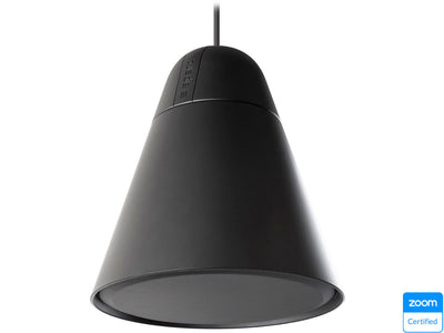 BIAMP P60DT-BL Two-Way 6.5" Loudspeaker BIAMP Speaker BIAMP