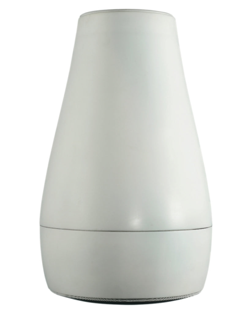 BIAMP Desono P6 Loudspeaker | 911.0922.900 Speaker BIAMP