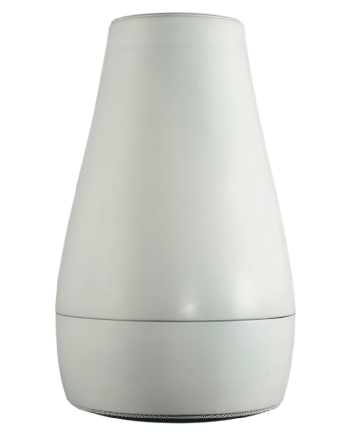 BIAMP Desono P6 Loudspeaker | 911.0922.900 Speaker BIAMP