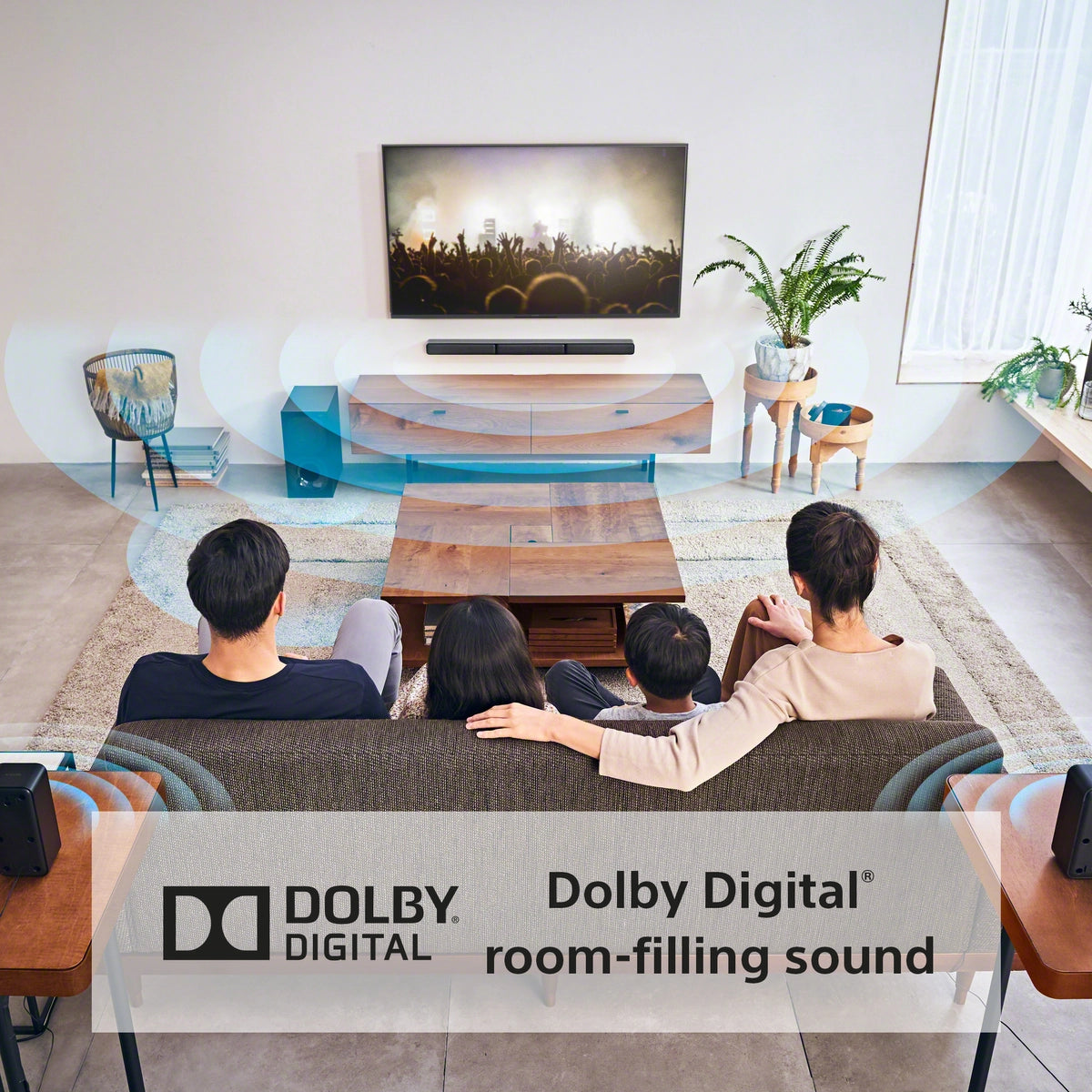 Sony HTS40R.CEK 5.1ch Home Cinema with Wireless Rear Speakers Speaker Sony