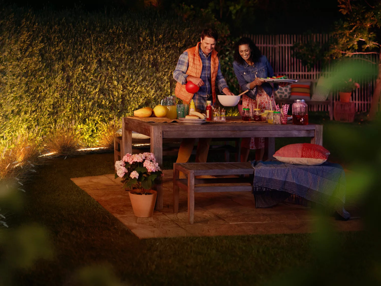 Philips Hue White and Colour Ambience Outdoor Lightstrip 2M | 929002289004 Smart Lighting Philips