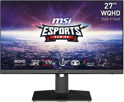 MSI G272QPF 27" 170Hz 1Ms WQHD Rapid IPS Gaming Monitor Gaming Monitor MSI