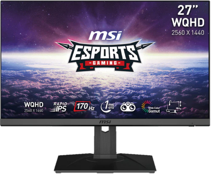 MSI G272QPF 27" 170Hz 1Ms WQHD Rapid IPS Desktop Monitor