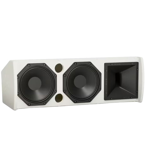 Bose ArenaMatch AMU206 Compact High-Performance Loudspeaker Loudspeaker BOSE