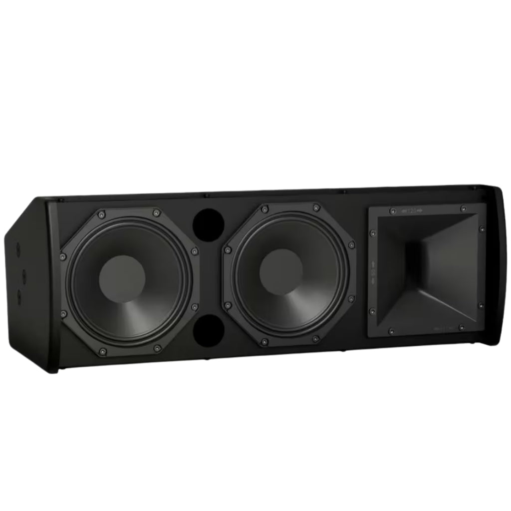 Bose ArenaMatch AMU206 Compact High-Performance Loudspeaker Speaker BOSE
