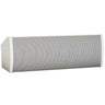 Bose ArenaMatch AMU206 Compact High-Performance Loudspeaker