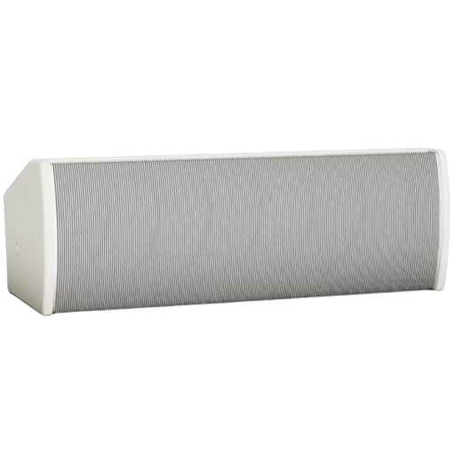 Bose ArenaMatch AMU206 Compact High-Performance Loudspeaker Loudspeaker BOSE White