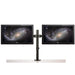 Startech Desk Mount Dual Monitor Arm for up to 32" | ARMDUAL2 Monitor Arm Desk Mount Startech