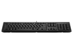HP 125 Wired Keyboard – Full Size USB, Business Use, Black | AY2Y7AA#ABE Keyboard & Mouse HP