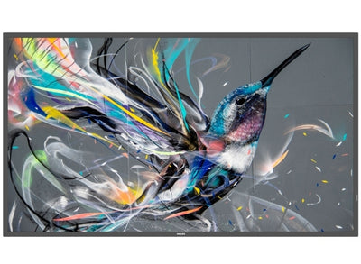 Philips Q-Line | 50BDL3511Q/00 50" 4K Ultra HD Smart Digital Signage Display Philips Digital Signage Philips