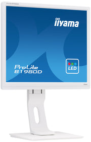 iiyama ProLite B1980D-W1 The 19" LED-Backlit Business Monitor Desktop Monitor iiyama