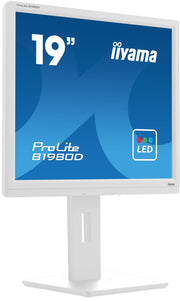 iiyama ProLite B1980D-W5 19" LED-Backlit Business Monitor Desktop Monitor iiyama