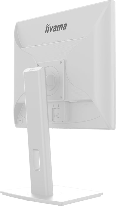 iiyama ProLite B1980S-W1 19" 75Hz LED-Backlit Monitor iiyama Desktop Monitors iiyama