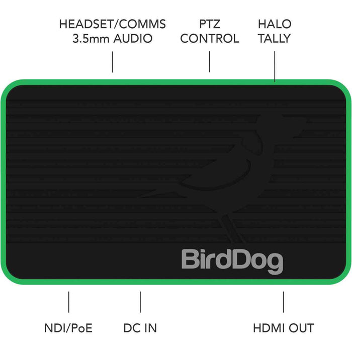 BirdDog Flex 4K Out Full NDI Decoder | BDFLEXDEC Decoder BirdDog
