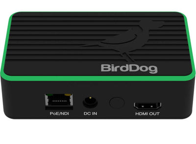 BirdDog Flex 4K Out Full NDI Decoder | BDFLEXDEC Decoder BirdDog