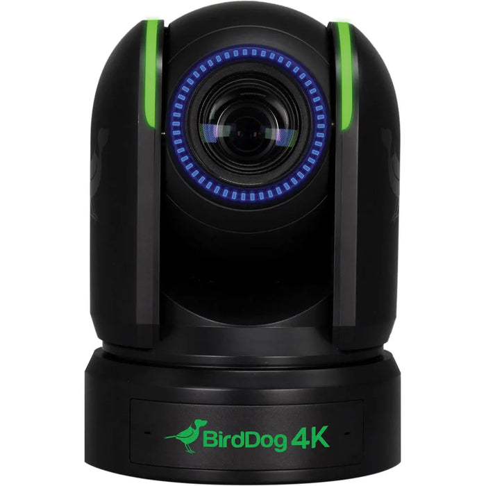 BirdDog P4K Bulb IP Security Camera | BDP4K BirdDog PTZ Camera BirdDog