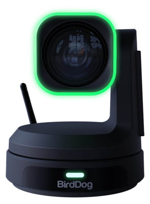 BirdDog X1 Ultra UHD PTZ Camera with 12x Optical Zoom Black | BDPX1UB BirdDog PTZ Camera BirdDog