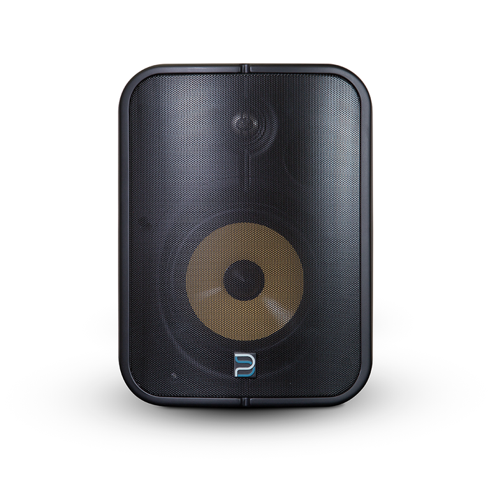 Bluesound Professional BSP1000 Network Streaming Speaker Speaker Bluesound Professional Black