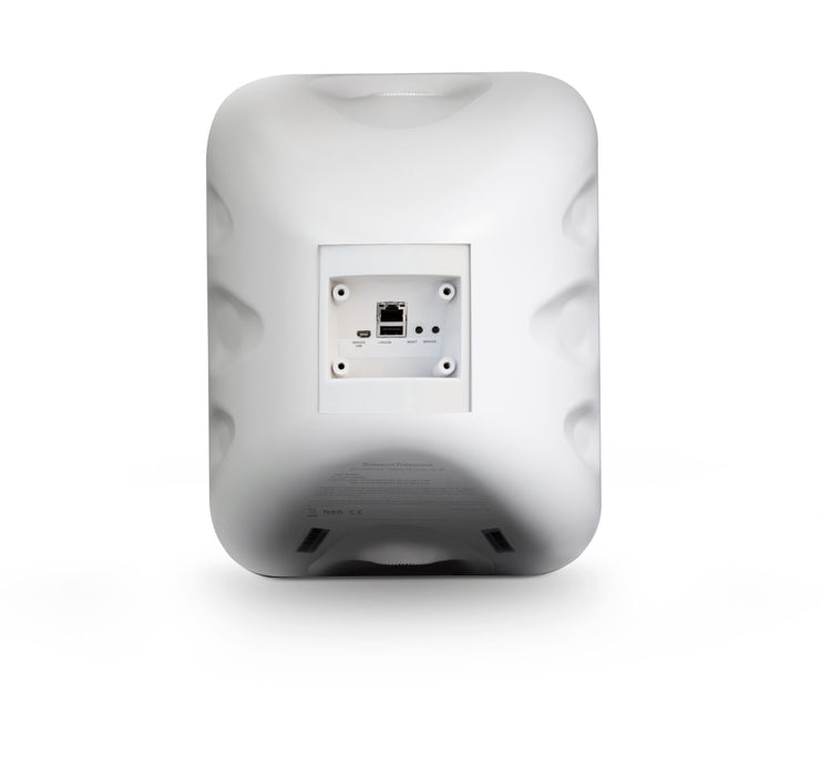 Bluesound Professional BSP1000 Network Streaming Speaker Speaker Bluesound Professional