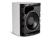 Bose DesignMax DM12SE 12-Inch Coaxial Surface-Mount Loudspeaker | A01114-0200 Loudspeakers BOSE