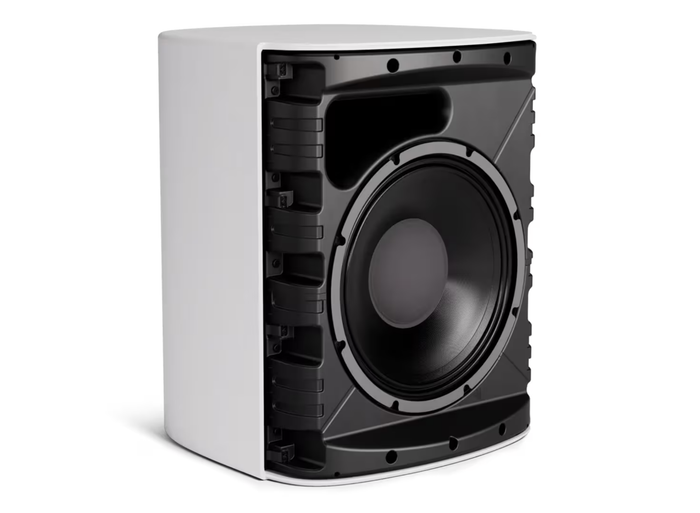 Bose DesignMax DM12SE 12-Inch Coaxial Surface-Mount Loudspeaker | A01114-0200 Loudspeakers BOSE