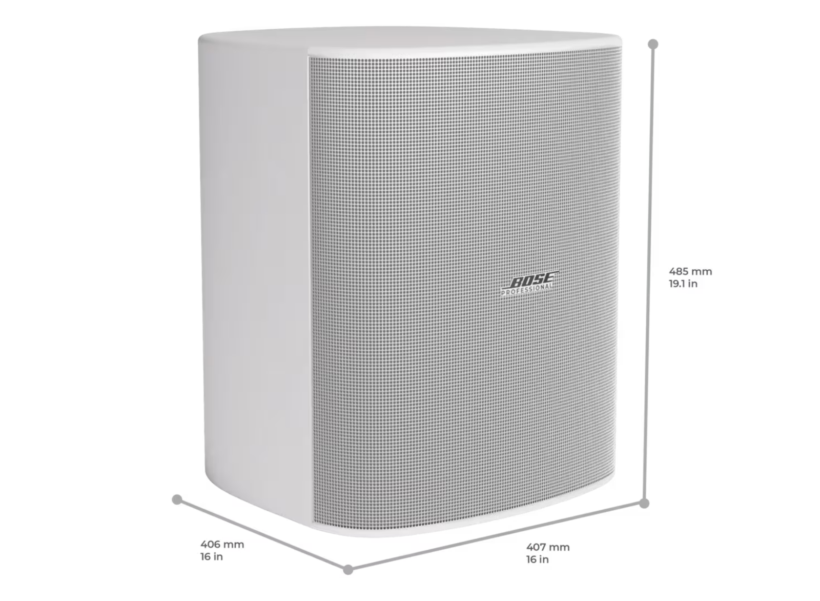 Bose DesignMax DM12SE 12-Inch Coaxial Surface-Mount Loudspeaker | A01114-0200 Loudspeakers BOSE