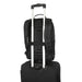Targus 15-16” Classic EcoSmart® Backpack - Black | CN600GL Backpack Targus